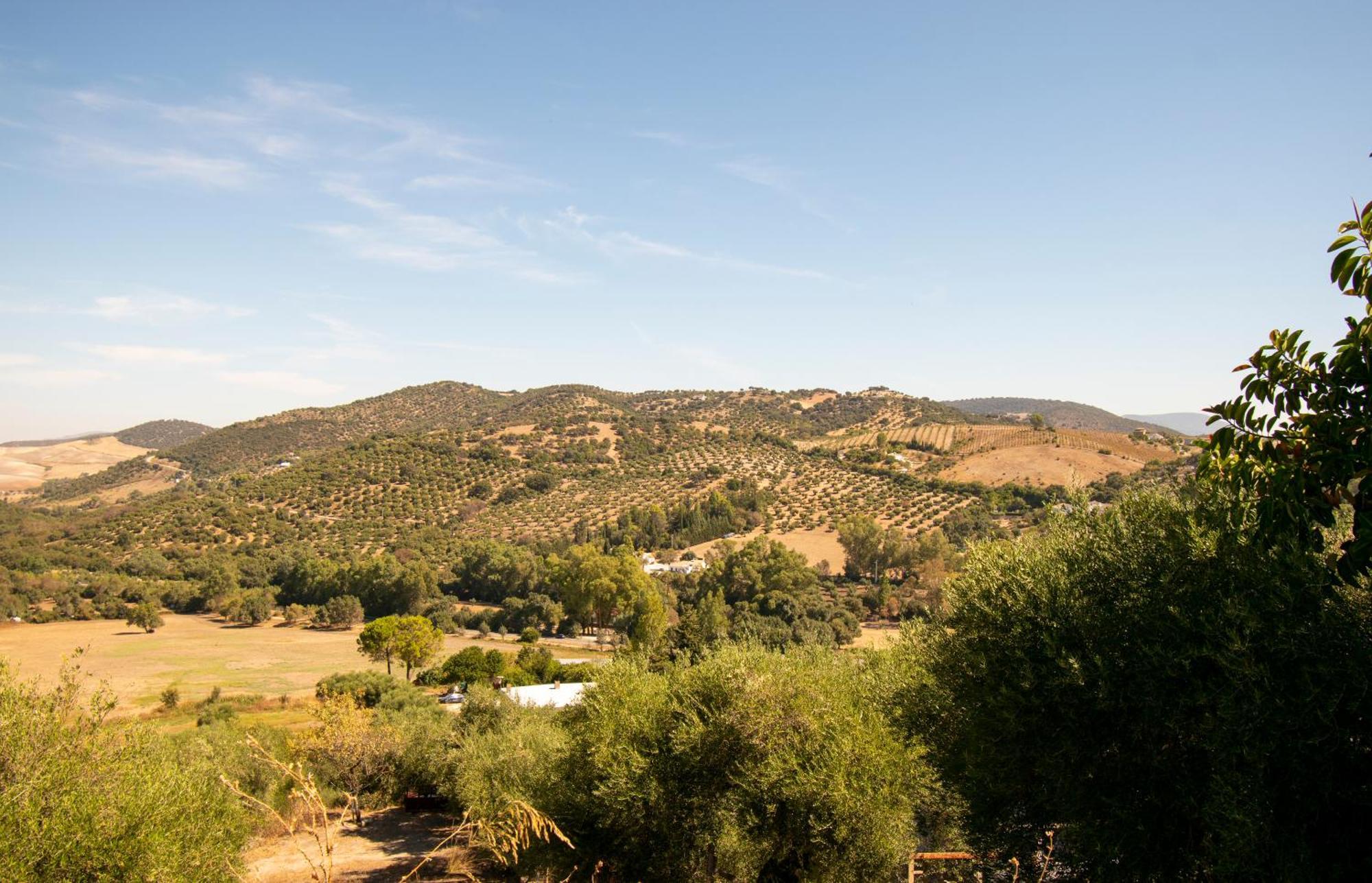 Casa Rural El Carmen Prado Del Rey Exterior foto